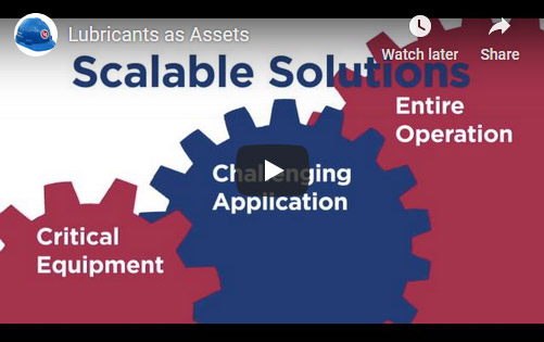 Lubricants as Assets Video